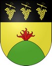 Blason de Bernex