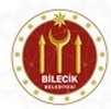 Blason de Bilecik