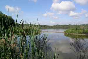 Photo du Lac de Virelles