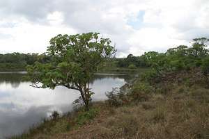 Parc National de Nyika