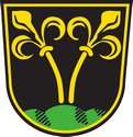 Blason de Traunstein