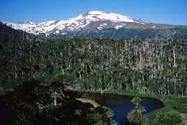 Volcan Copahue