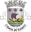Blason d'Ílhavo