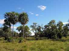 Parc national Defensores Del Chaco