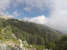 Réserve naturelle du Chouf