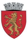 Blason de Sebes