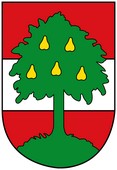 Blason de Dornbirn