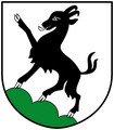 Blason de Kitzbühel