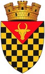 Blason d'Anenii Noi
