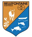 Blason de Bellefontaine