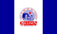 Drapeau de Billings