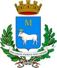 Blason de Matera