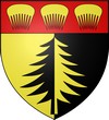 Oyonnax Blason