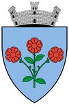 Blason de Râsnov