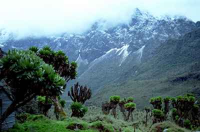 Photo du Rwenzori