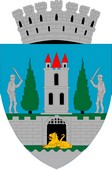 Blason de Satu Mare