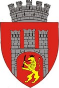 Blason de Sighisoara