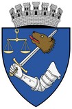 Blason de Târgu Mures