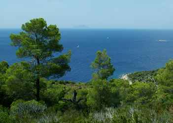 Photo de l'Île de Vis