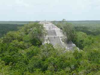 Photo de Calakmul