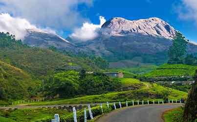 Photo de Munnar