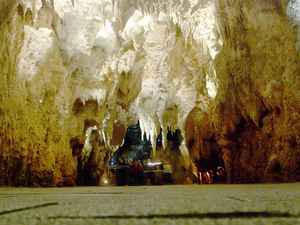 Grottes de Waitomo