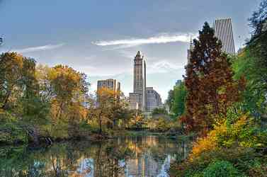 Central Park de New-York