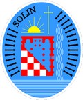 Logo de Solin