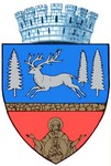 Blason de Bacau