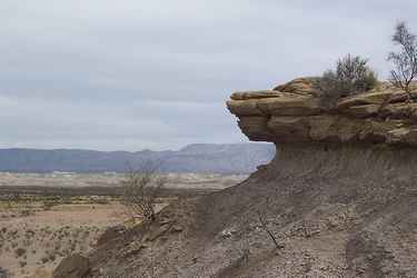 Big Bend Park