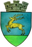 Blason de Gura Humorului