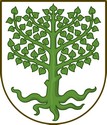 Blason d'Aeroskobing