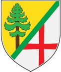 Blason de Bor