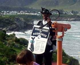 Photo d'Hermanus