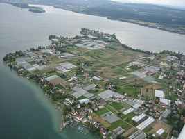 Île monastique de Reichenau