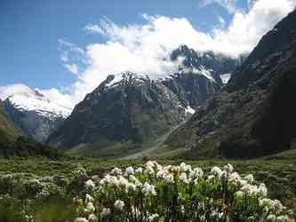 Parc National de Fiordland