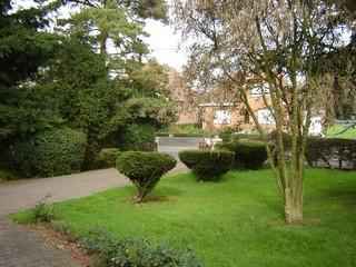 le jardin devant la maison