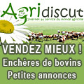 Enchères de bovins, Petites annonces, Forum agricole