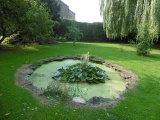 Aquajardin : toute l'information pour un jardin aquatique hors du commun !