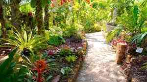 Jardins botaniques de Vallarta