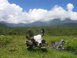 Parc national de Meru