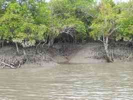 Parc national des Sundarbans