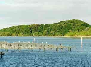 Photo de Brunswick Heads