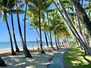 Photo de Palm Cove