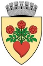 Blason de Miercurea-Ciuc