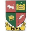 Blason de Poya