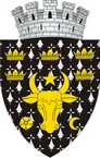 Blason de Radauti