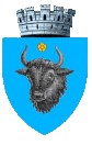 Blason de Sighetu Marmatei