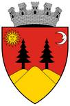 Blason de Falticeni