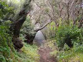 Parc Naturel de Cumbre Vieja